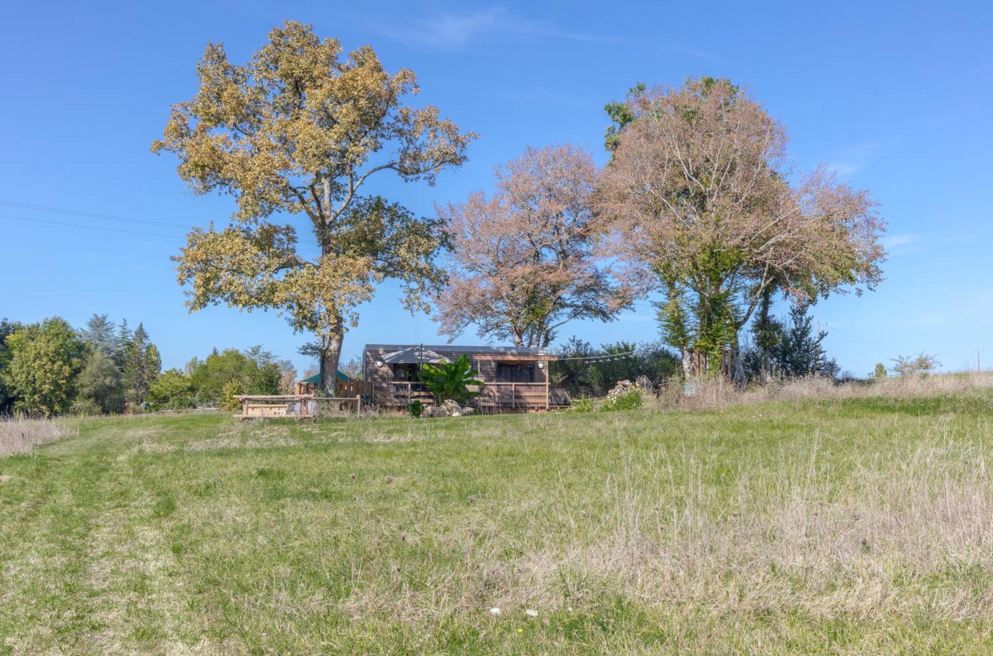 Tiny House Avec Spa, Proche De Bordeaux Et De Saint-Emilion Castelviel Exterior foto